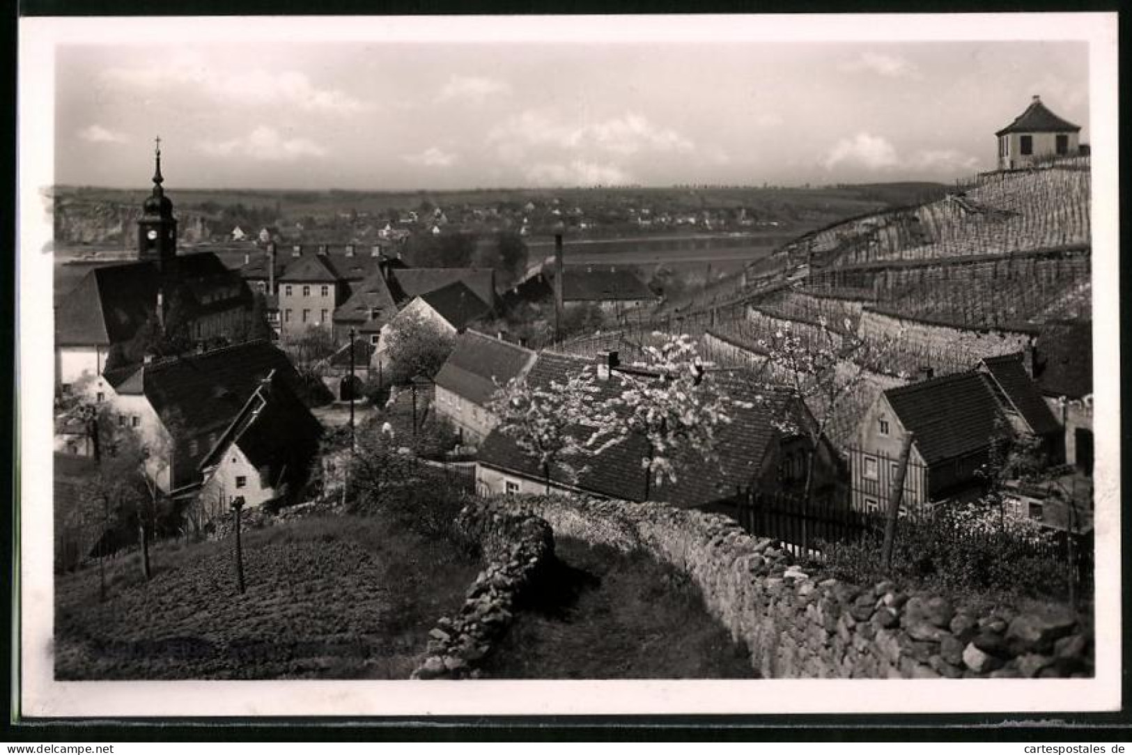 Fotografie Brück & Sohn Meissen, Ansicht Seusslitz, Blick In Den Ort Mit Den Weinbergen Und Der Kirche  - Orte