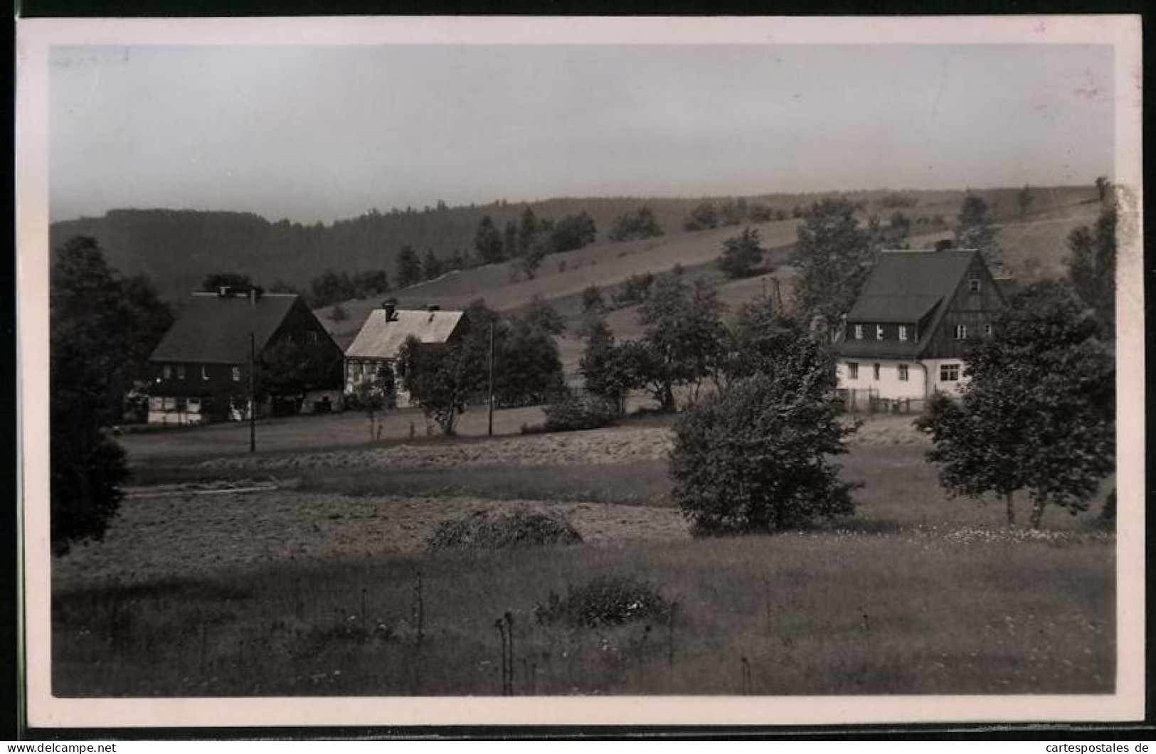 Fotografie Brück & Sohn Meissen, Ansicht Schellerhau I. Erzg., Blick Nach Dem Eschenhof  - Orte