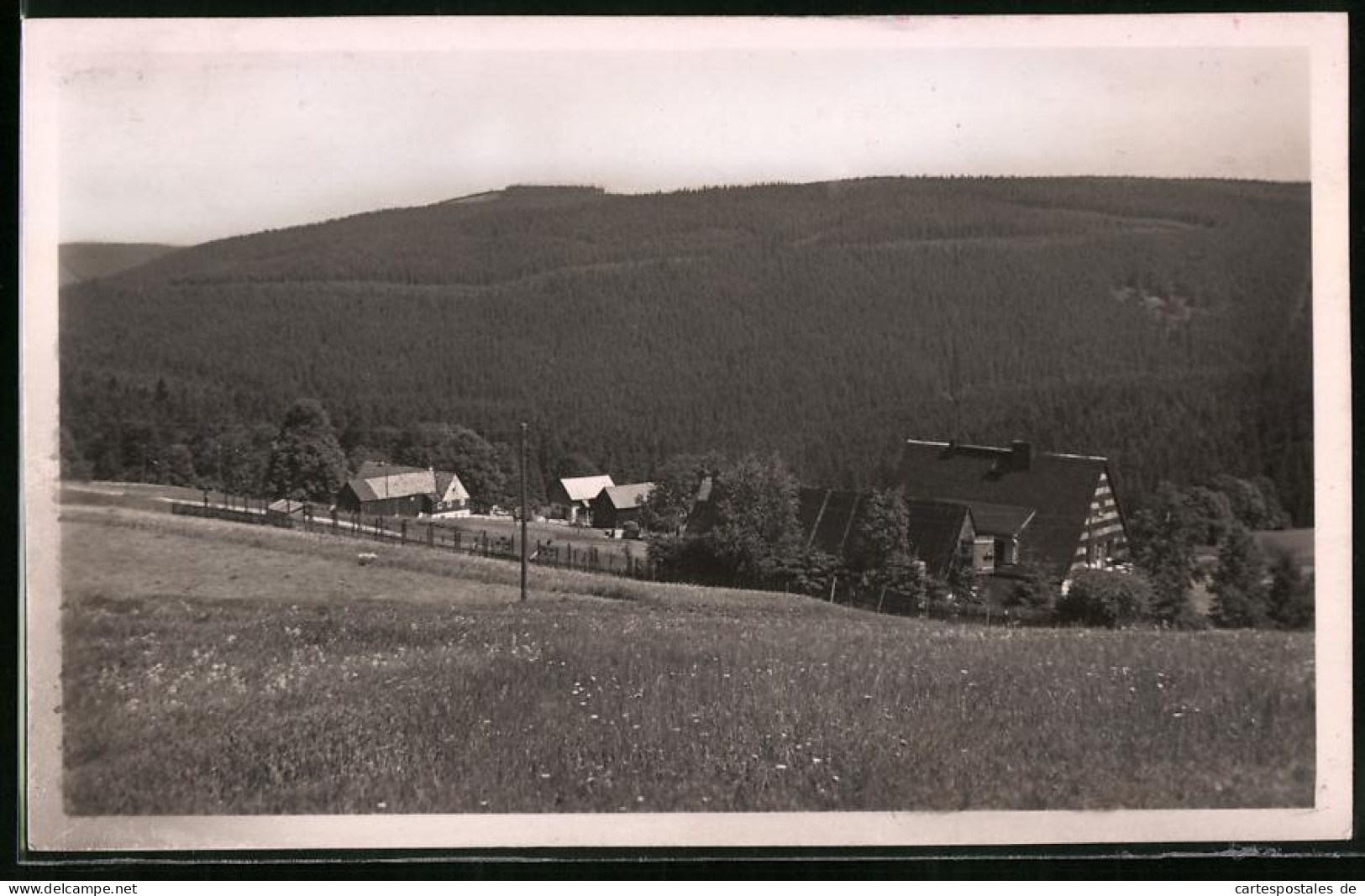 Fotografie Brück & Sohn Meissen, Ansicht Schellerhau I. Erzg., Blick Von Oben Auf Dem Ort Und Die Umgebung  - Orte