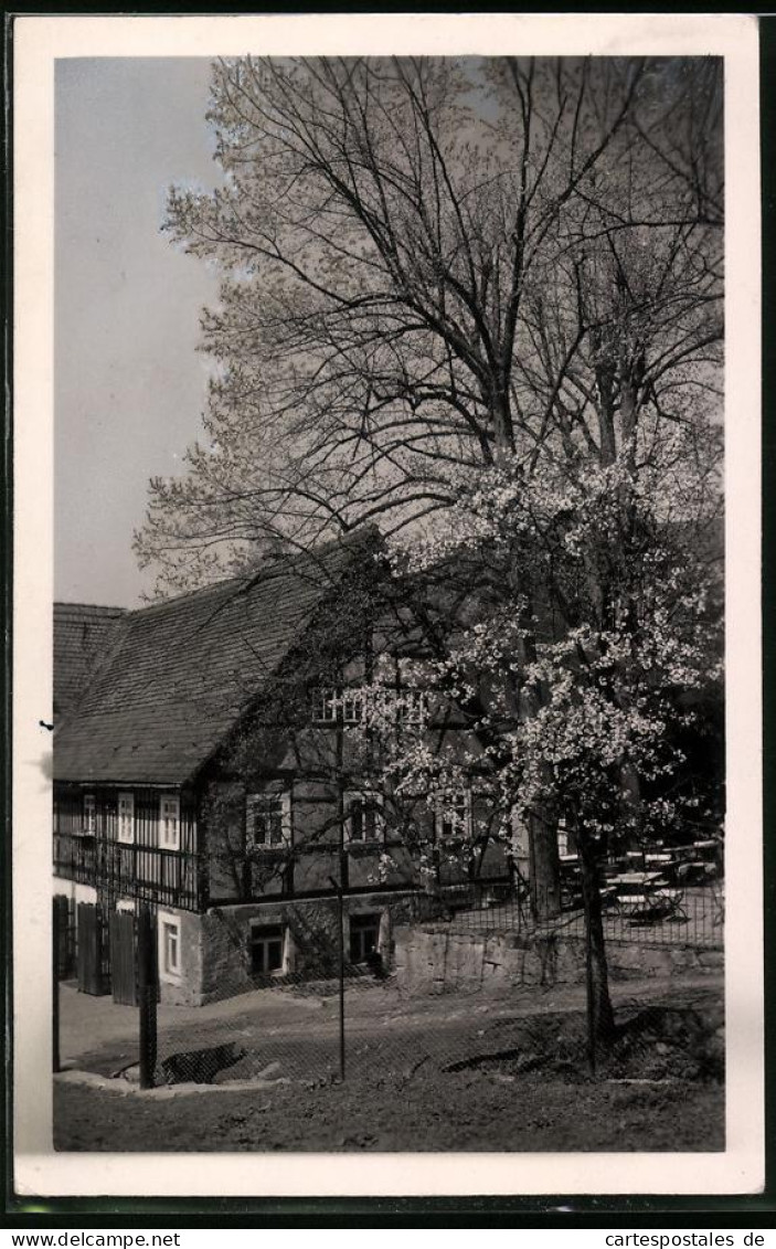 Fotografie Brück & Sohn Meissen, Ansicht Klipphausen Im Saubachtal, Blick Auf Die Neudeckmühle  - Lieux