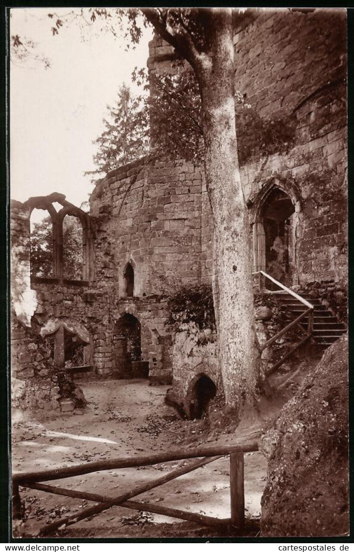 Fotografie Brück & Sohn Meissen, Ansicht Oybin, Partie Im Burghof Der Ruine  - Orte