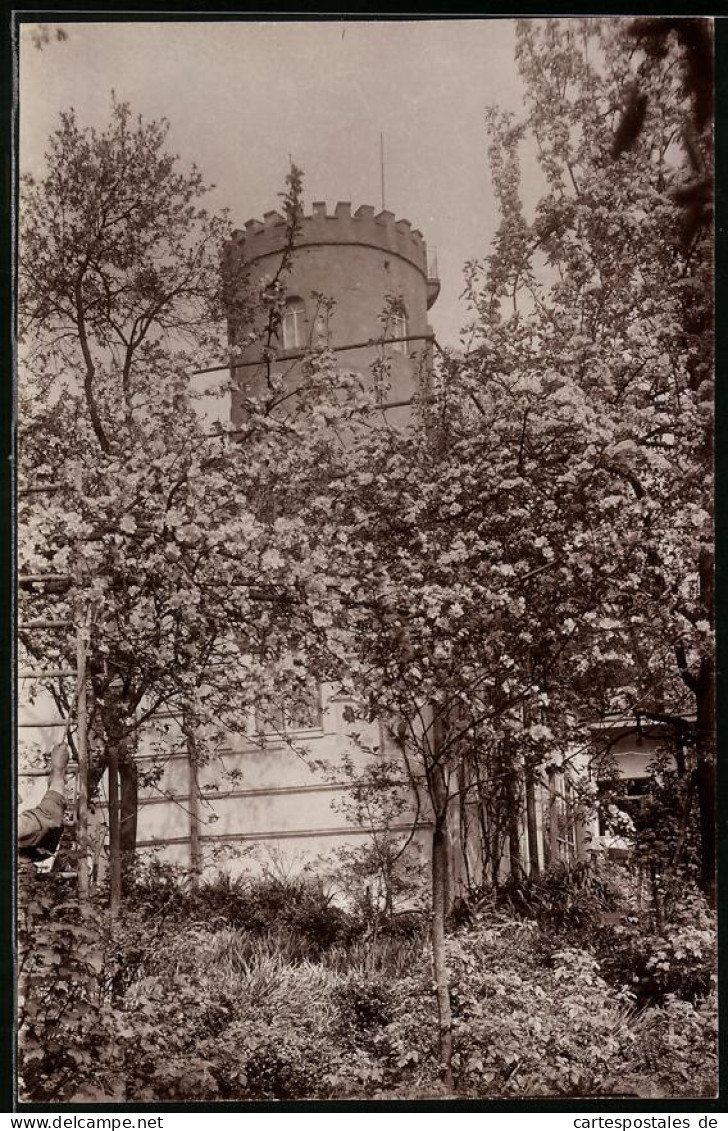 Fotografie Brück & Sohn Meissen, Ansicht Collm, Turm Auf Dem Collmberg Bei Oschatz  - Plaatsen