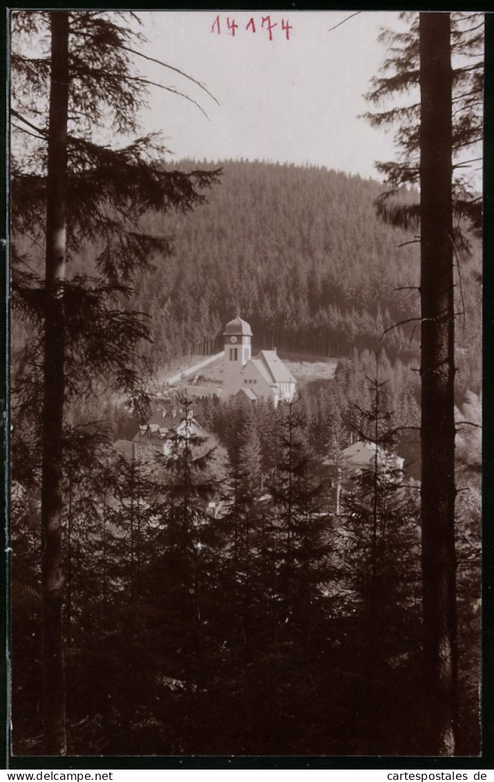 Fotografie Brück & Sohn Meissen, Ansicht Kipsdorf I. Erzg., Blick Aus Dem Wald Auf Die Kirche  - Plaatsen