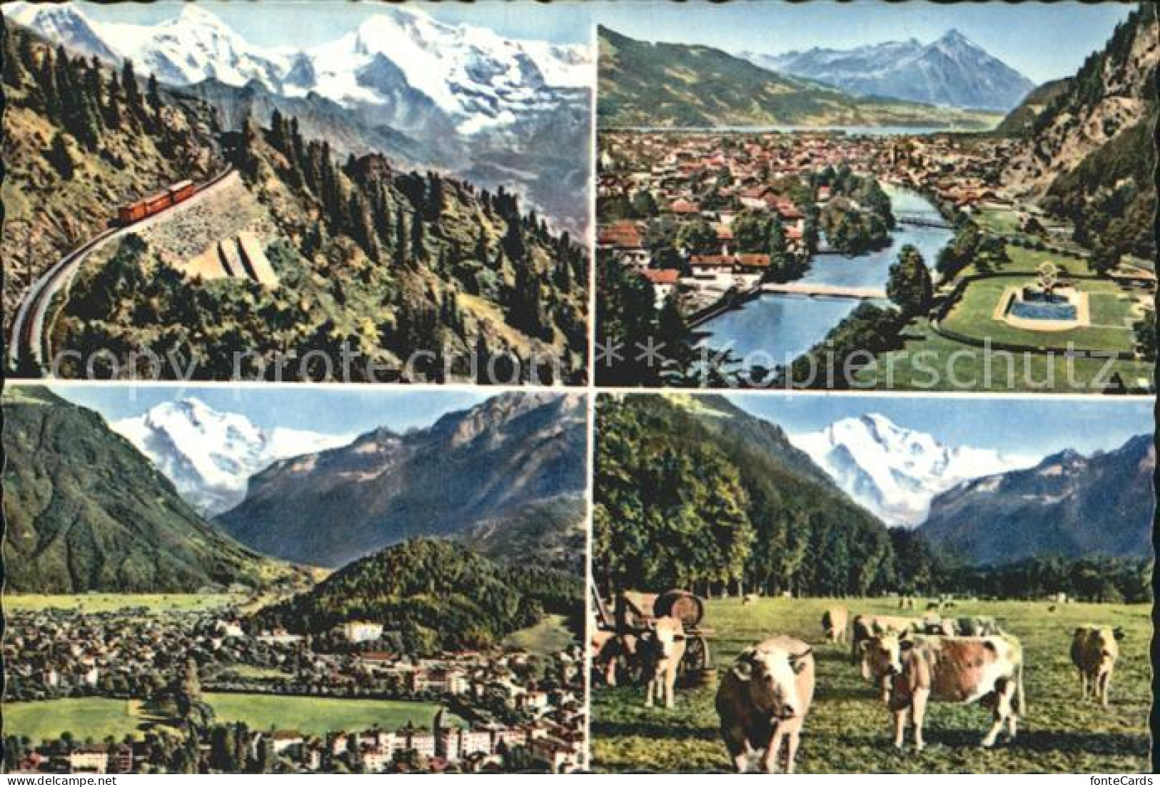 12365019 Interlaken BE Bergbahn Total Panorama Viehweide Interlaken - Sonstige & Ohne Zuordnung