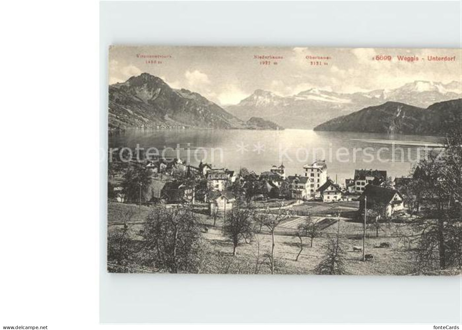 12359669 Weggis Vierwaldstaettersee Untedorf Weggis - Andere & Zonder Classificatie