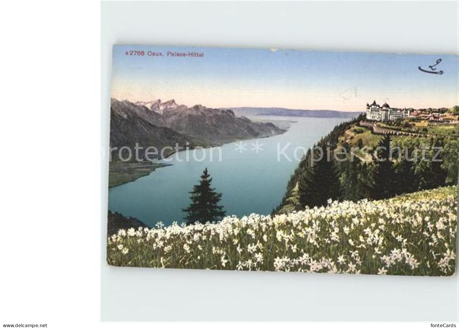 12359289 Caux VD Palace Hotel See Blumenwiese Caux - Other & Unclassified