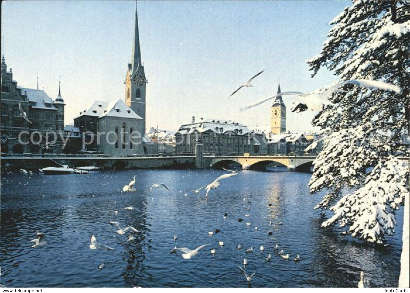 12348309 Zuerich Stadthaus Fraumuenster Meise St. Peter  Zuerich - Sonstige & Ohne Zuordnung