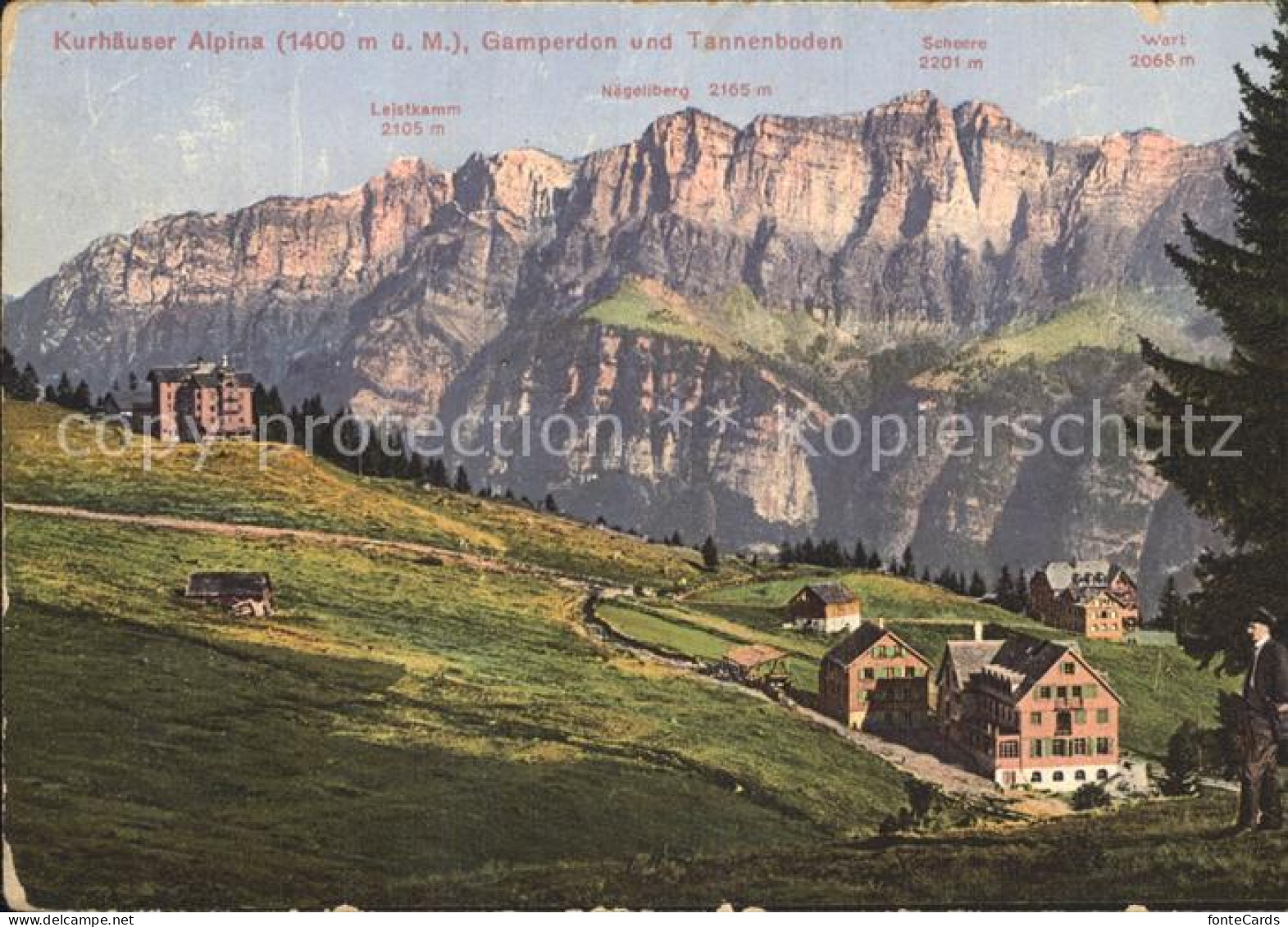 12338119 Tannenbodenalp Kurhaeuser Alpina Gamperdon Tannenbodenalp - Other & Unclassified