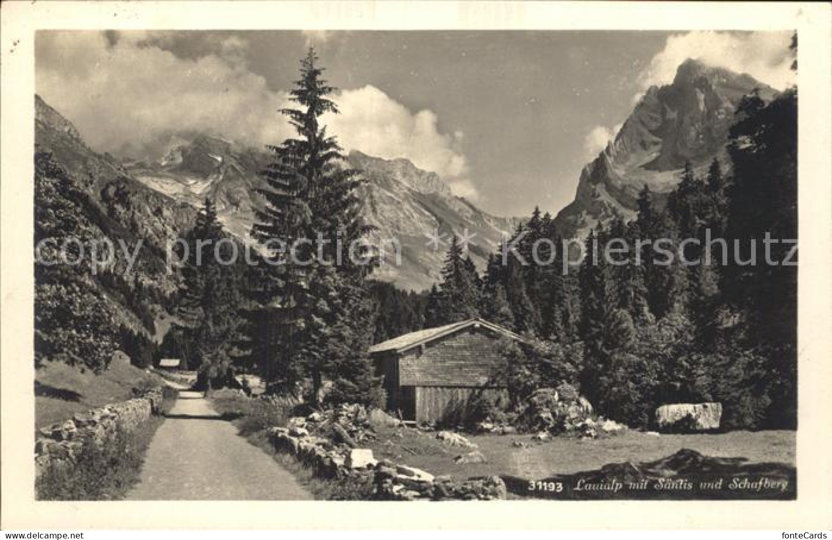 12338009 Unterwasser Toggenburg Lauialp Mit Saentis Und Schafberg Unterwasser - Sonstige & Ohne Zuordnung