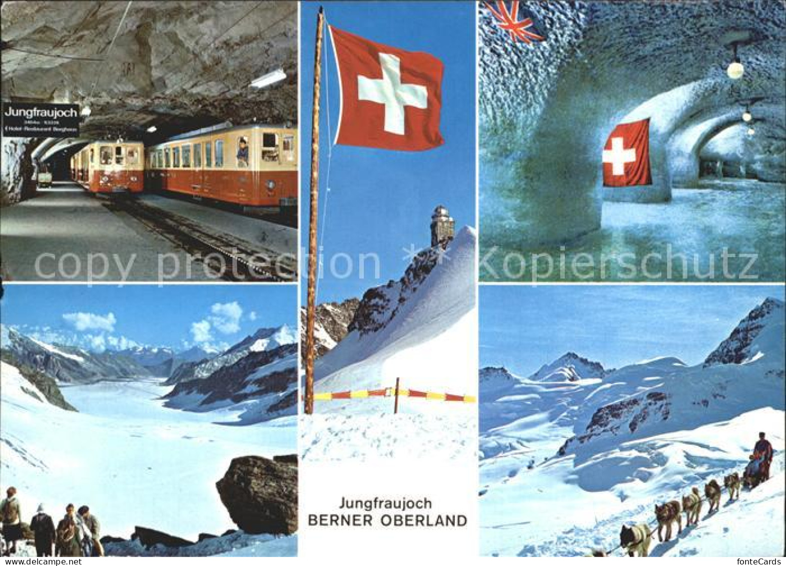 12336769 Jungfraubahn Jungfraujoch Polarhunde Jungfraubahn - Sonstige & Ohne Zuordnung