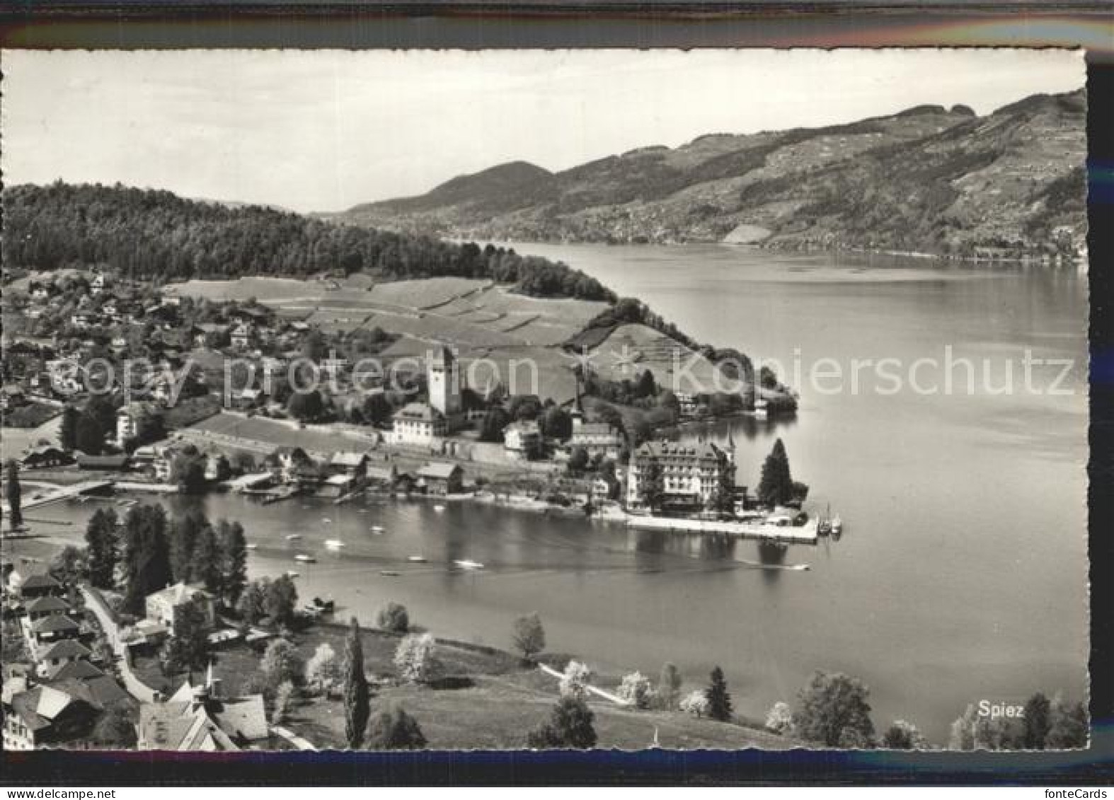 12336439 Spiez BE Fliegeraufnahme Spiez - Other & Unclassified