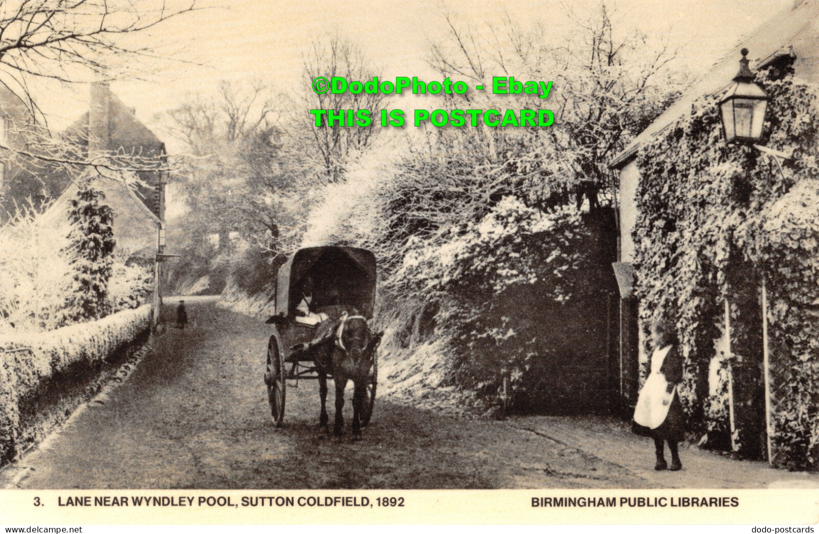 R415537 3. Lane Near Wyndley Pool. Sutton Coldfield. 1892. Birmingham Public Lib - World