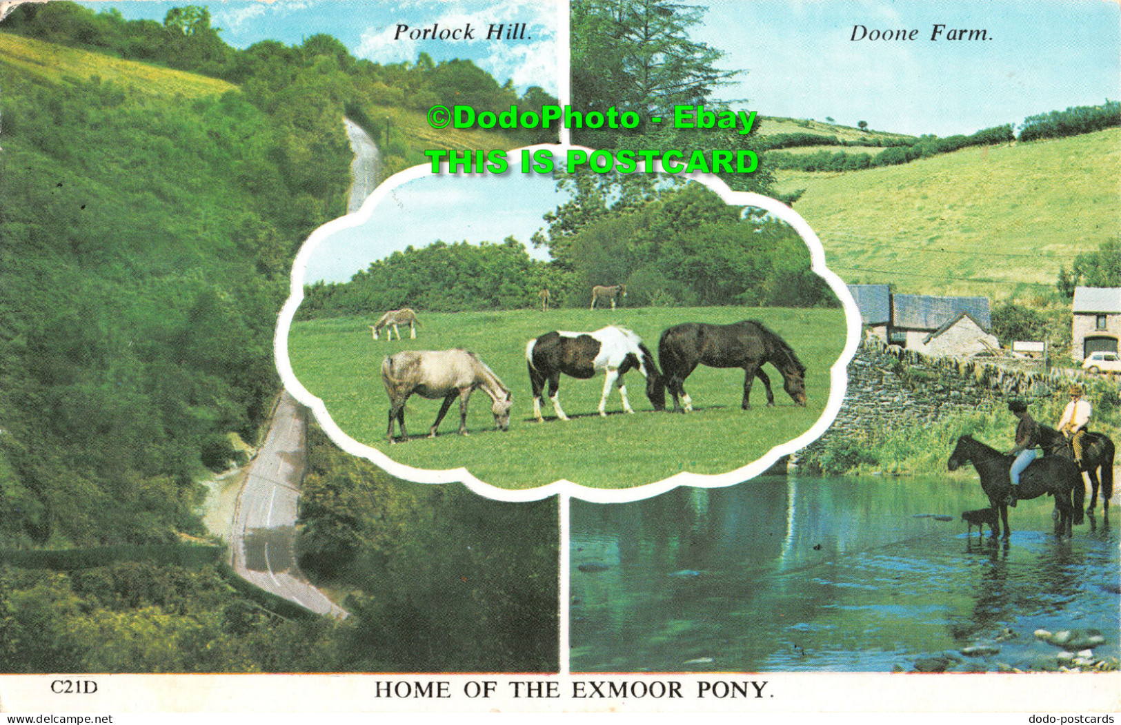 R415539 C21D. Home Of The Exmoor Pony. Porlock Hill. Doone Farm. Harvey Barton. - World
