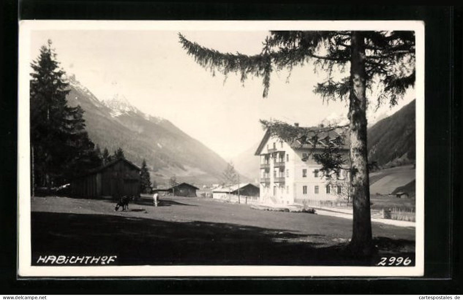 AK Neustift Im Stubaital, Neder, Habichthof Vor Bergkulisse  - Sonstige & Ohne Zuordnung