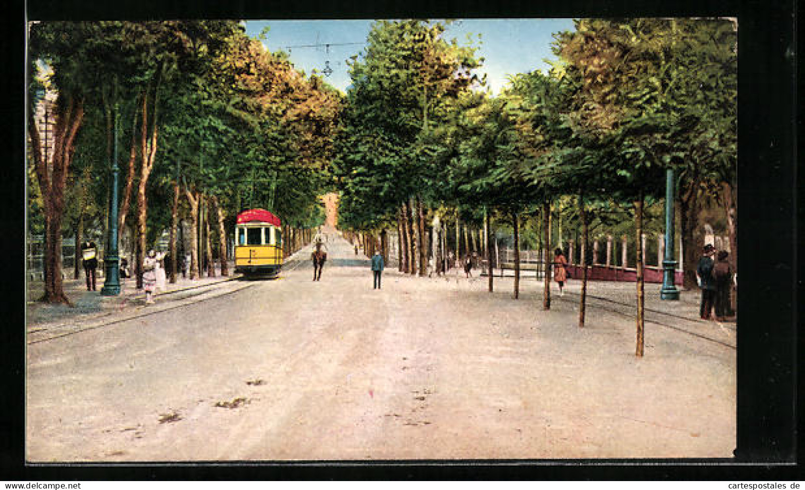 AK Lido De Venezia, Viale S. Maria Elisabetta, Strassenbahn  - Tramways