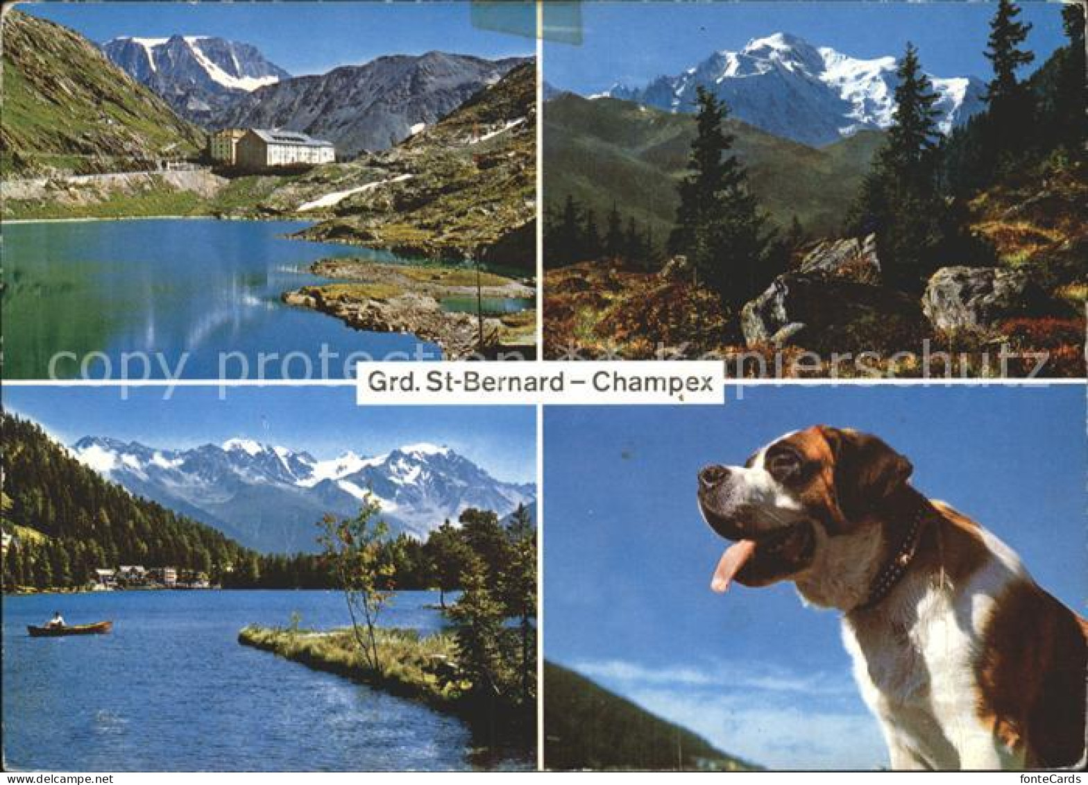 12327949 Champex-Lac Grd. St. Bernard Chien Champex-Lac - Autres & Non Classés