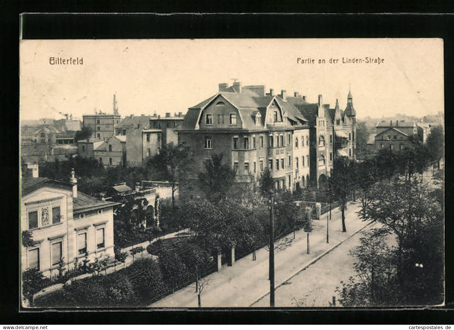 AK Bitterfeld, Partie An Der Linden-Strasse  - Bitterfeld