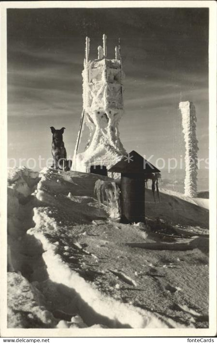 12323169 Saentis AR Gipfel Windmesser Im Rauhreif Appenzeller Alpen Hund Saentis - Sonstige & Ohne Zuordnung