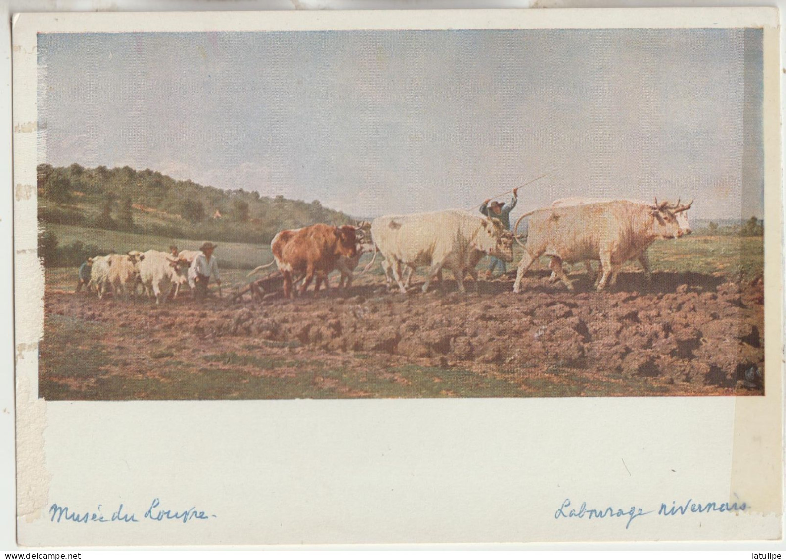 Paris 75   Carte Non Circulée Musée Du Louvre _Labourage Nivernais -avec Attelage De Boeufs (Rosa  Bonheur)1822-1899 - Museums