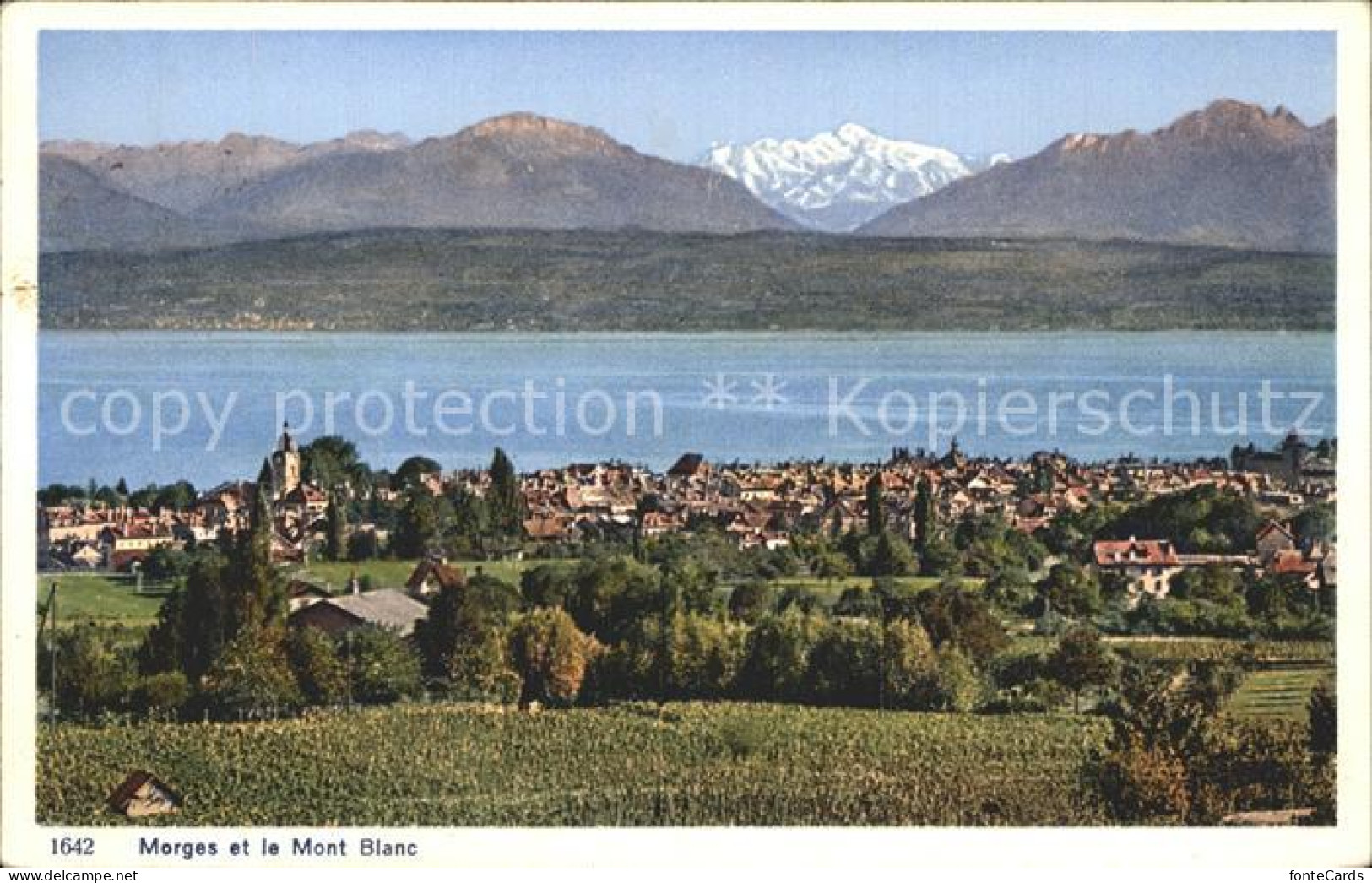 12321199 Morges Panorama Lac Leman Et Le Mont Blanc Genfersee Alpen Morges - Other & Unclassified