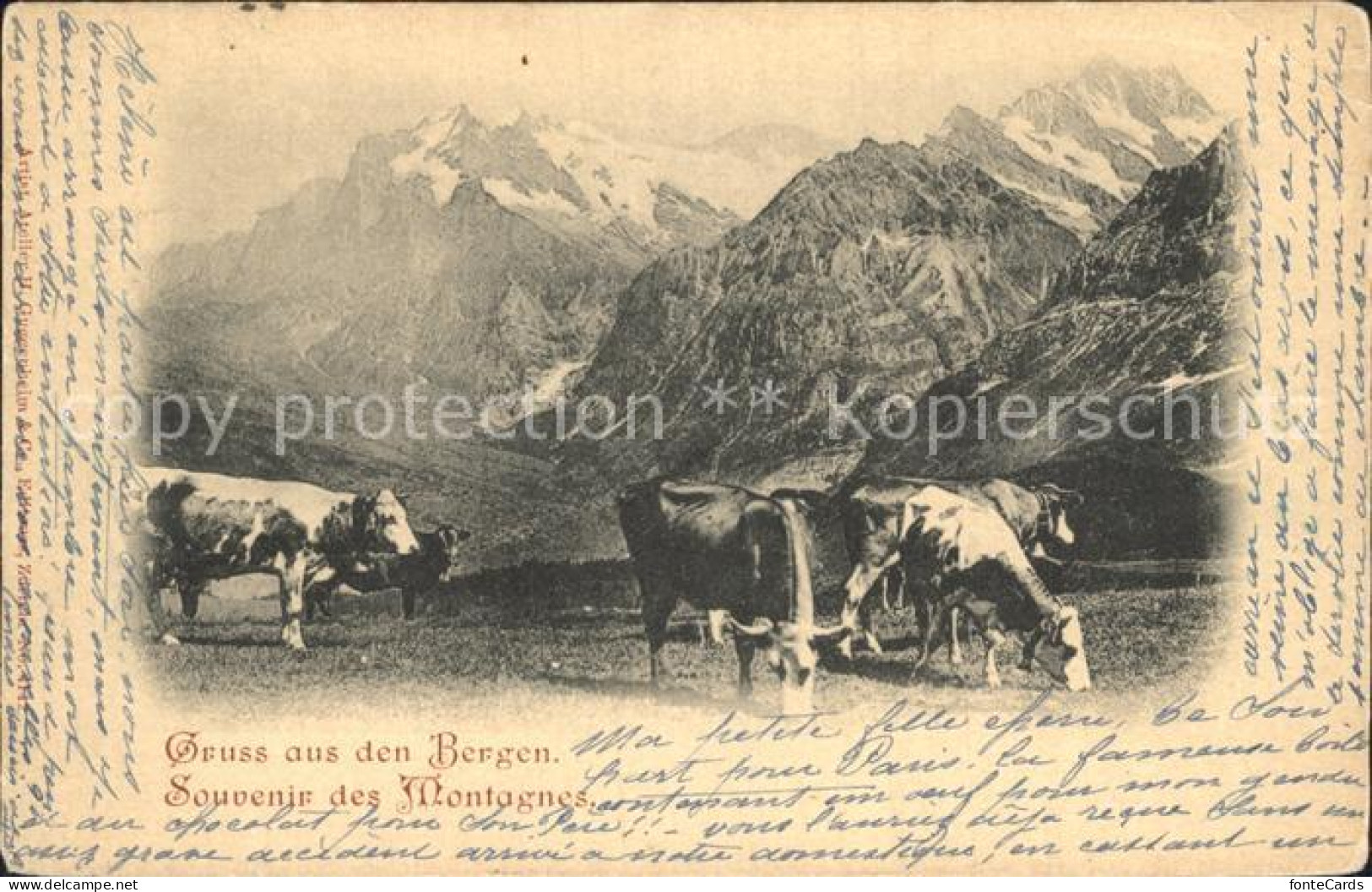 12321179 Vevey VD Souvenir Des Montagnes Alpen Kuehe Vevey - Other & Unclassified