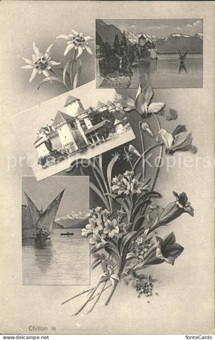 12321039 Chillon Schloss Genfersee Segelboot Alpen Blumen Montreux - Sonstige & Ohne Zuordnung