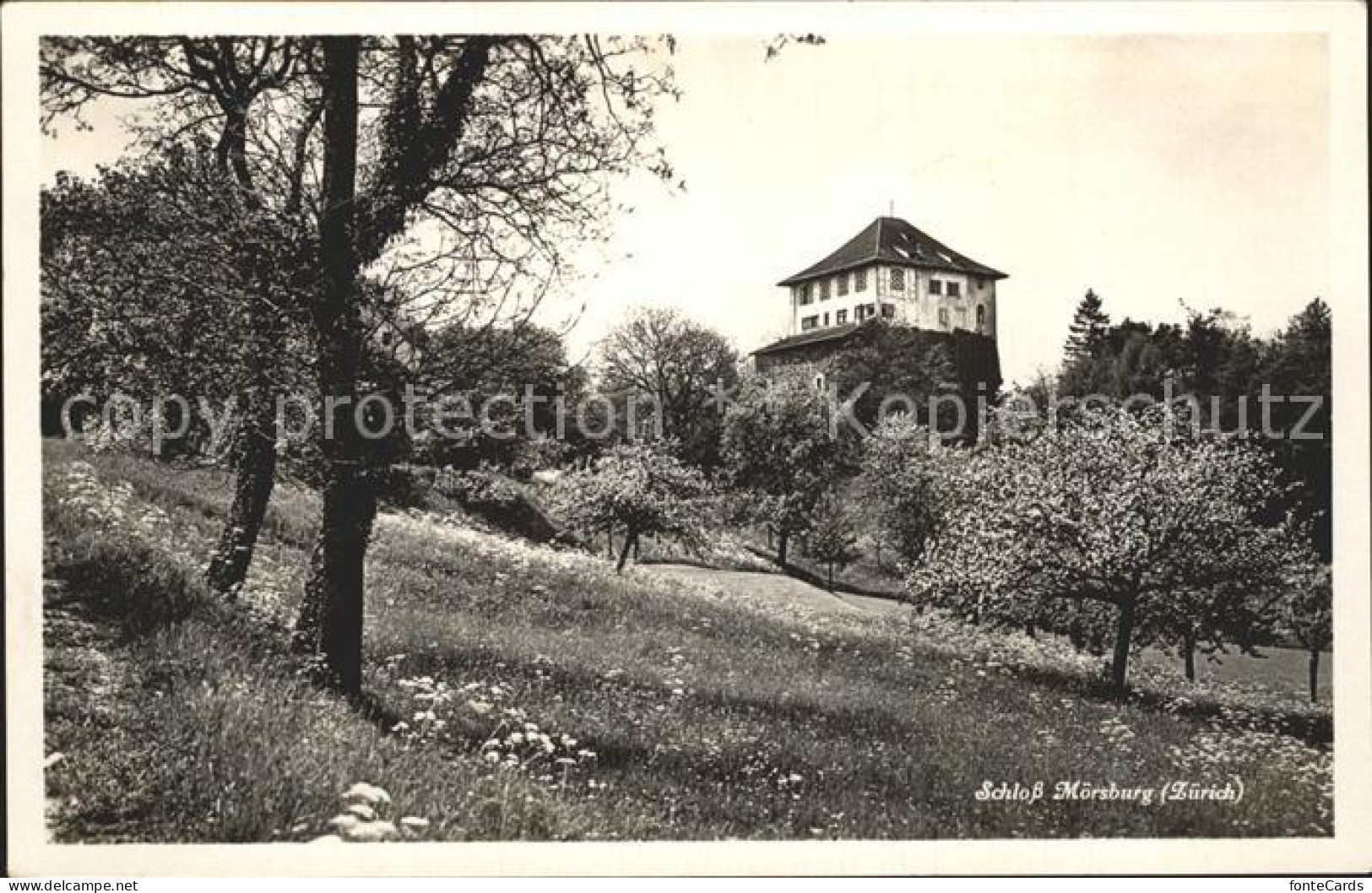 12319379 Moersburg ZH Schloss Baumbluete Winterthur - Altri & Non Classificati