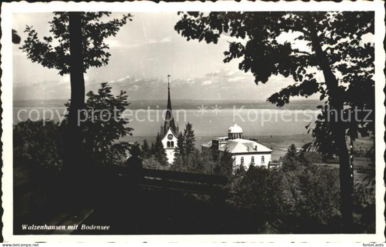 12316199 Walzenhausen AR Durchblick Zum Bodensee Alpen Walzenhausen - Andere & Zonder Classificatie