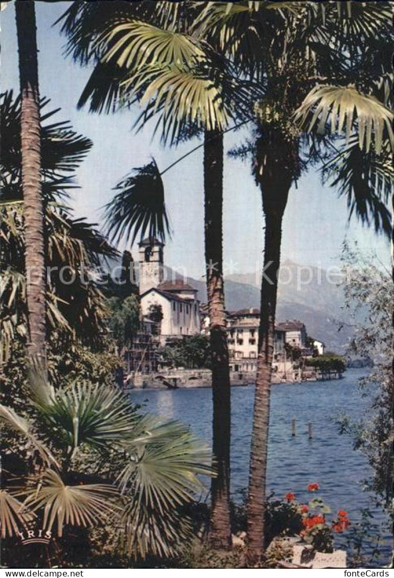 12307379 Brissago TI Lago Maggiore Brissago - Andere & Zonder Classificatie