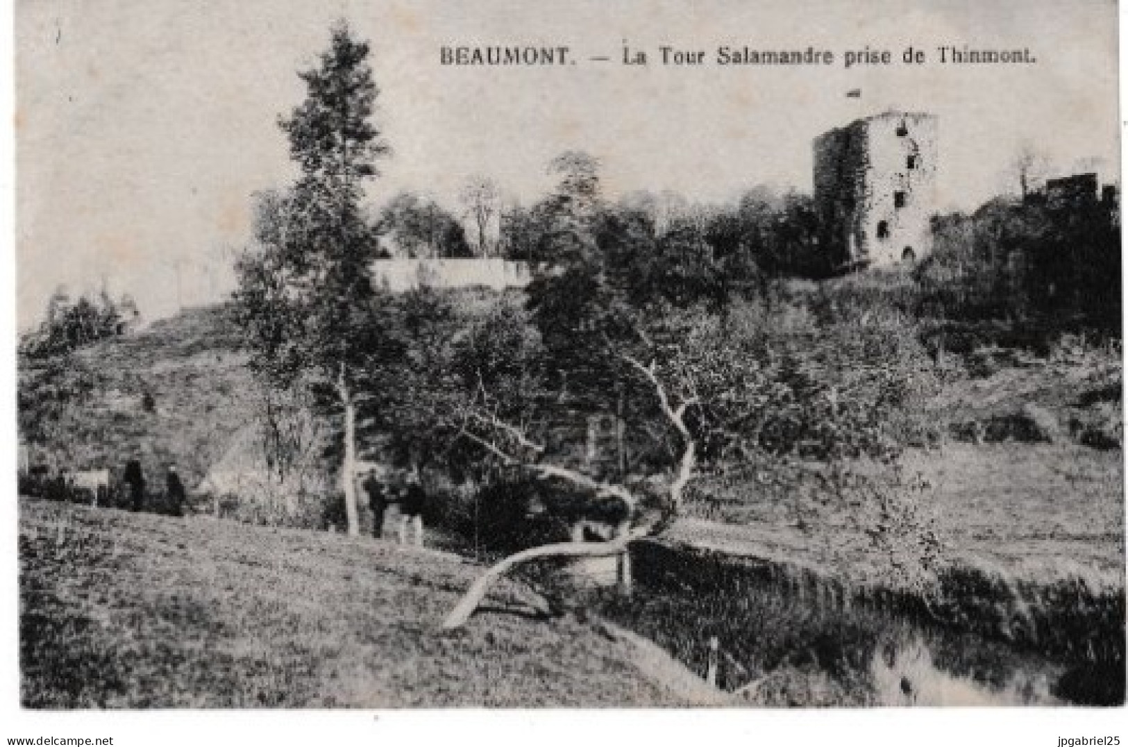 Beaumont La Tour Salamandre Prise De Thinmont - Beaumont
