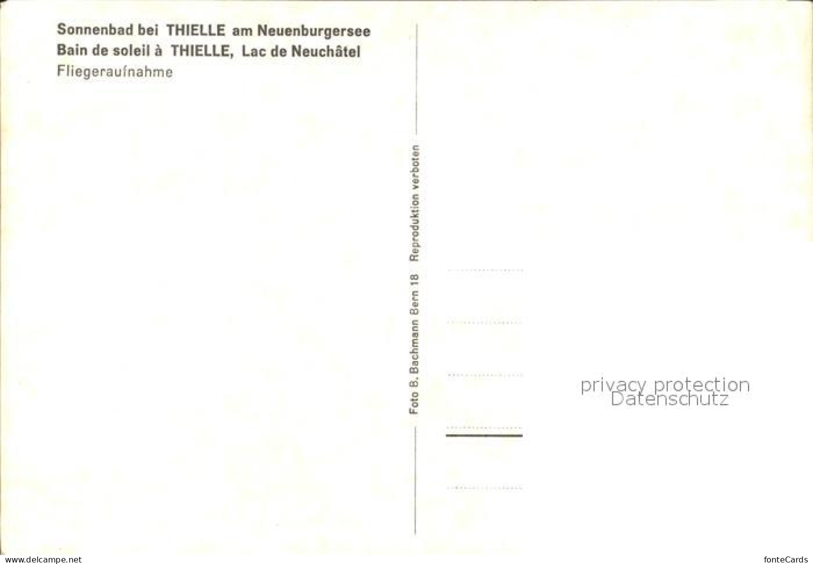 12174869 Thielle Am Neuenburgersee Thielle - Otros & Sin Clasificación