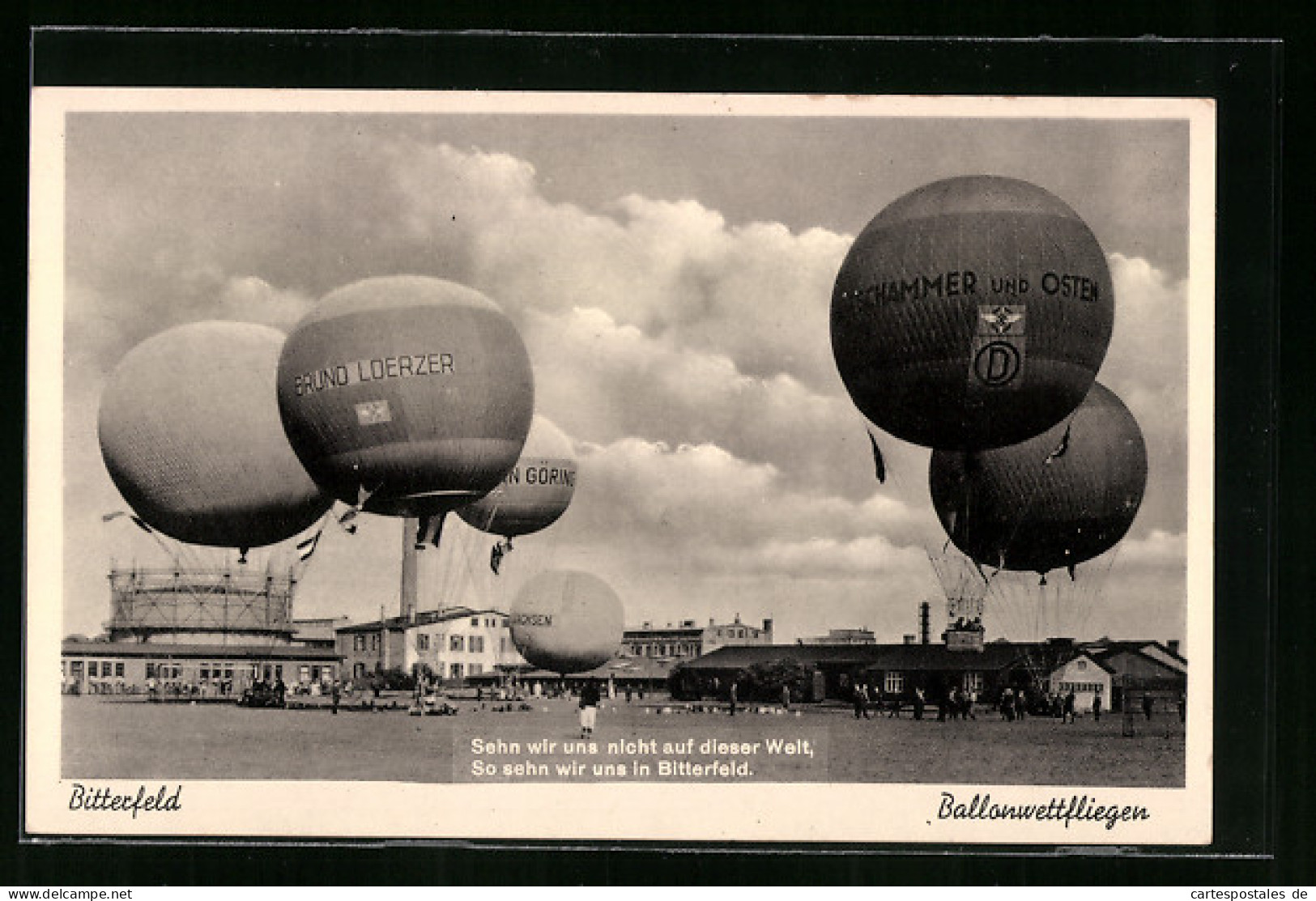 AK Bitterfeld, Ballonwettfliegen, Ballone Bruno Loerzer, Von Tschammer Und Osten, Hermann Göring  - Luchtballon