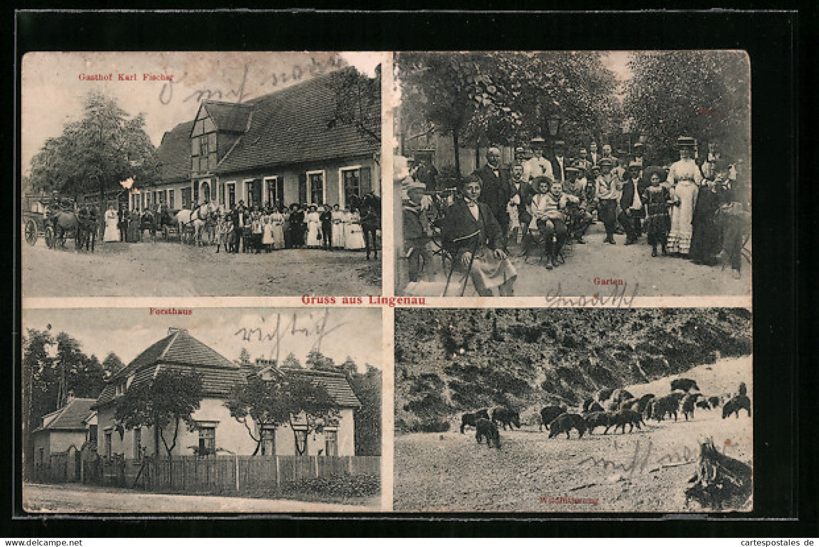 AK Lingenau, Gasthof Karl Fischer, Forsthaus, Wildfütterung  - Hunting