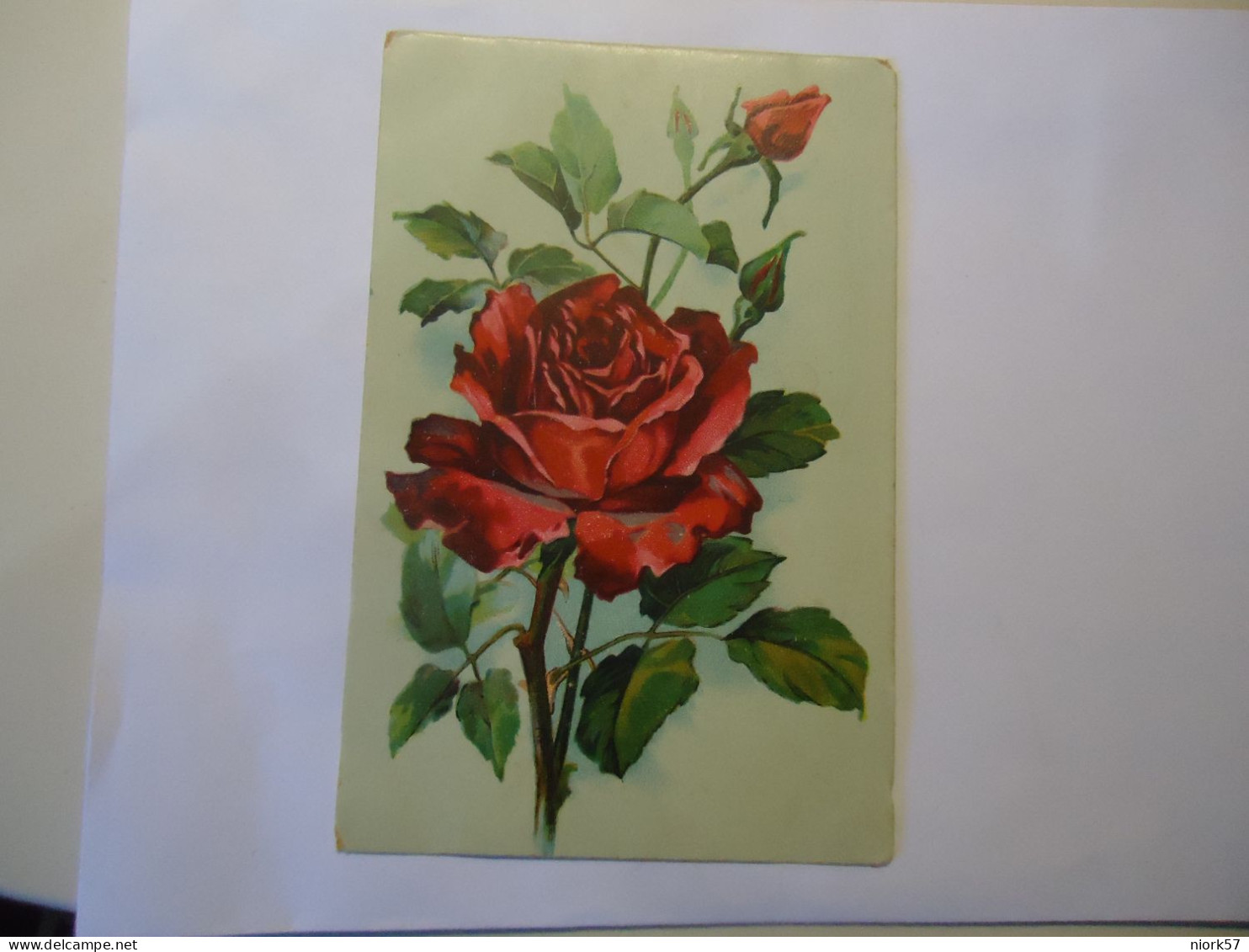 FRANCE   POSTCARDS  1919 GREETING  ROSES - Other & Unclassified