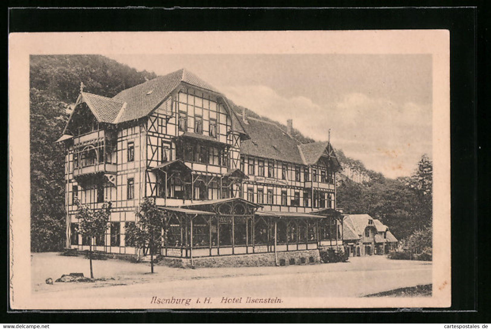 AK Ilsenburg I. H., Hotel Ilsenstein  - Ilsenburg