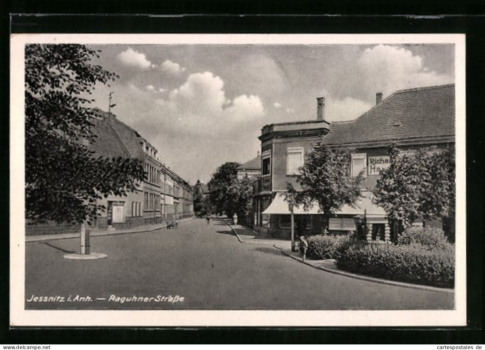 AK Jessnitz I. Anhalt, Partie Von Der Raguhner Strasse  - Sonstige & Ohne Zuordnung