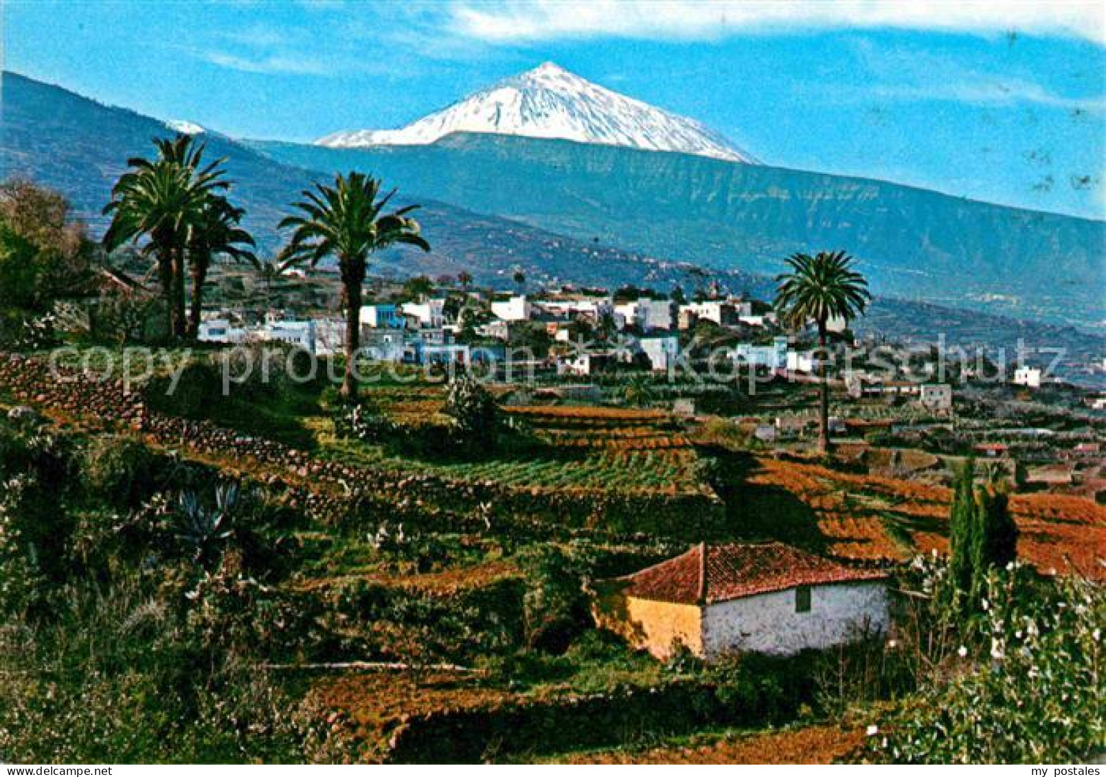 72748844 Puerto De La Cruz Valle De La Orotava Y Teide Vulkan Puerto De La Cruz  - Other & Unclassified