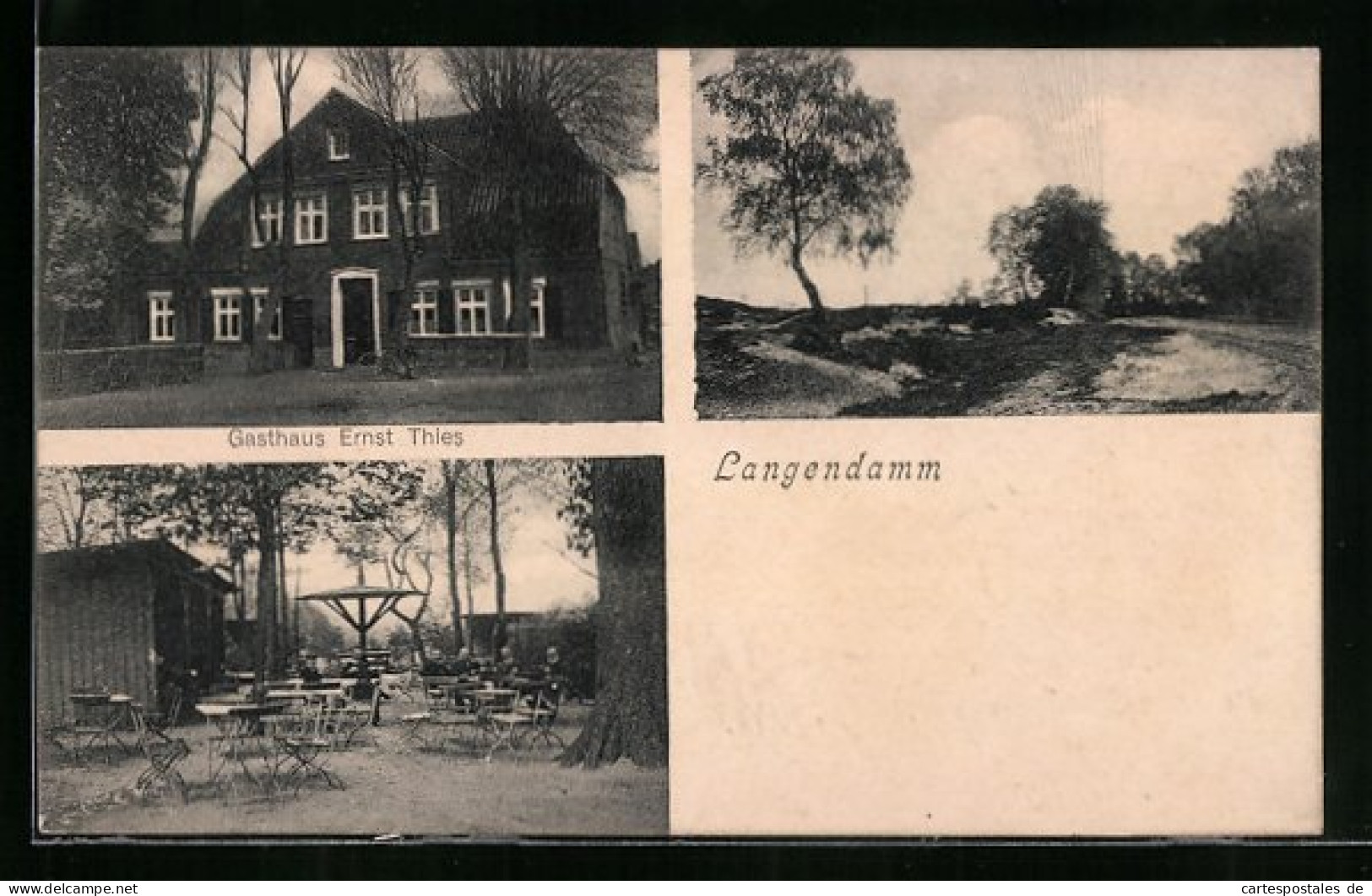 AK Langendamm, Gasthaus Von Ernst Thies Mit Terrasse  - Sonstige & Ohne Zuordnung