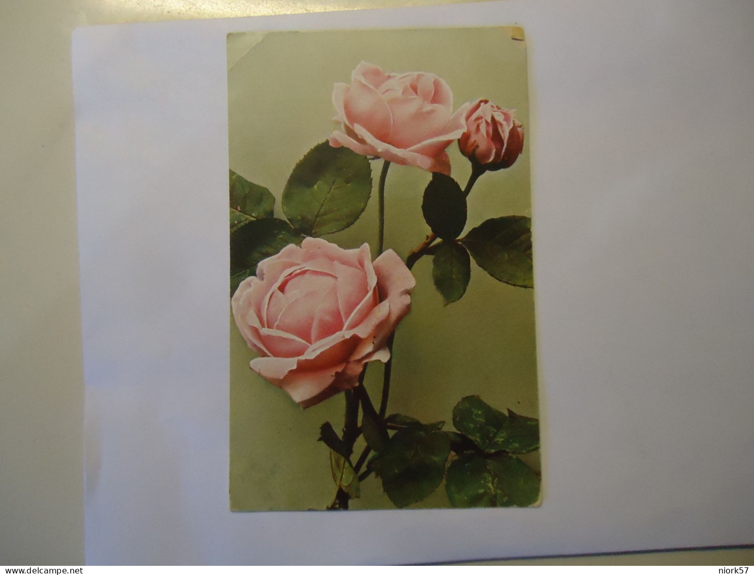 FRANCE   POSTCARDS  GREETING  ROSES 1922 - Autres & Non Classés