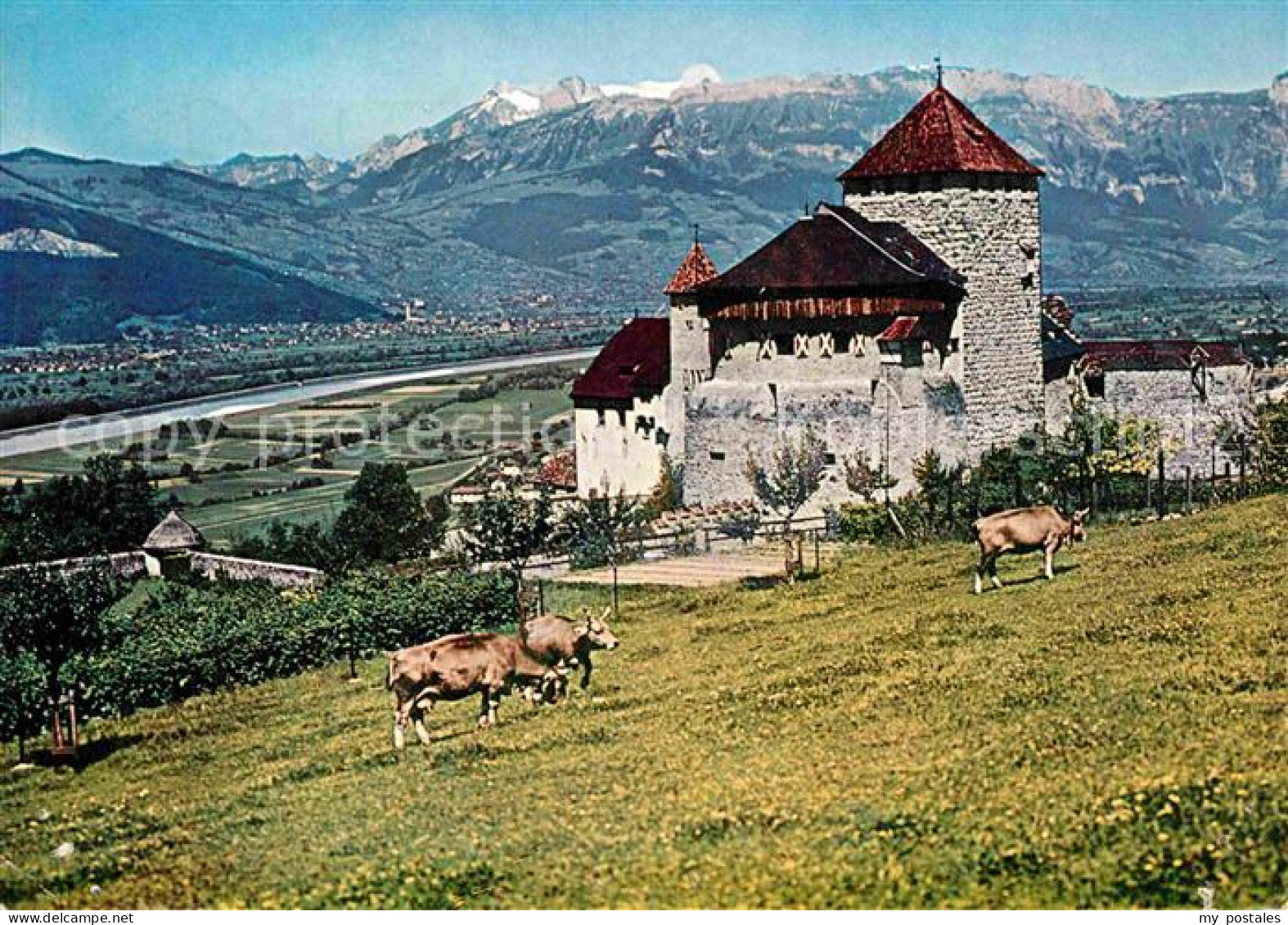 72748205 Vaduz Schloss Residenz Fuerst Von Liechtenstein Panorama Rheintal Vaduz - Liechtenstein