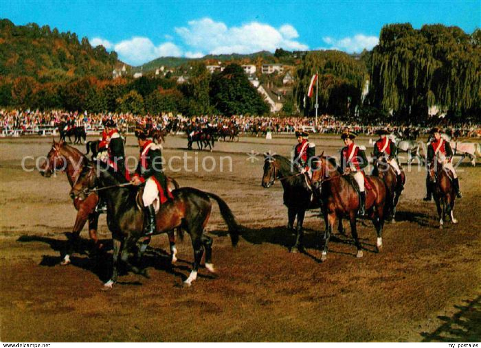 72746068 Dillenburg Hessisches Landsgestuet Pferde Dillenburg - Dillenburg