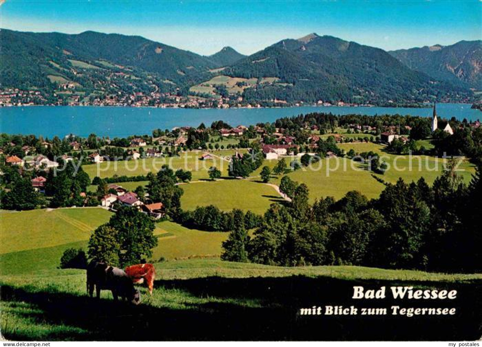 72745943 Bad Wiessee Panorama Bad Wiessee - Bad Wiessee