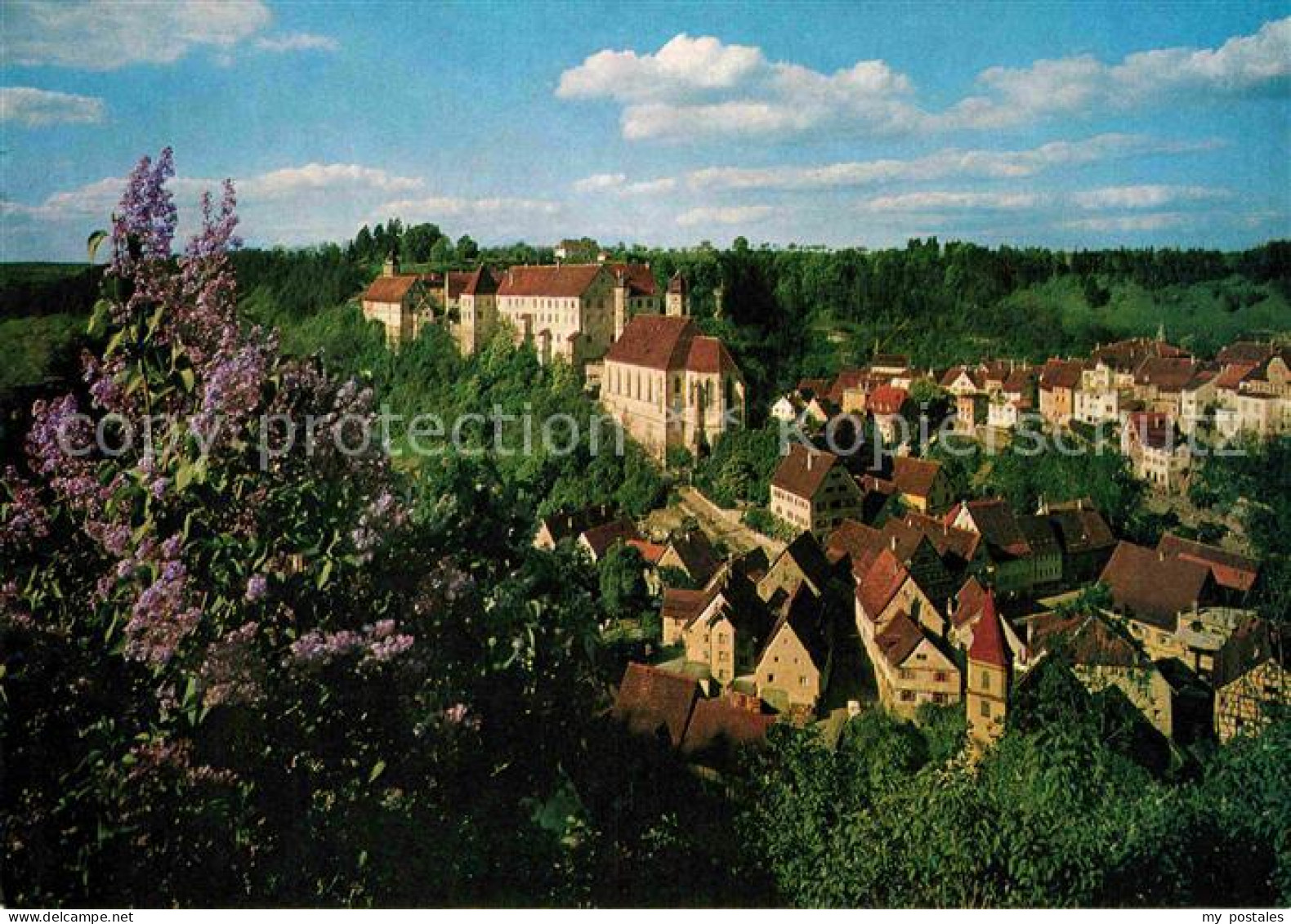 72743117 Haigerloch Blick Auf Schlosskirche Und Schloss Baumbluete Haigerloch - Haigerloch