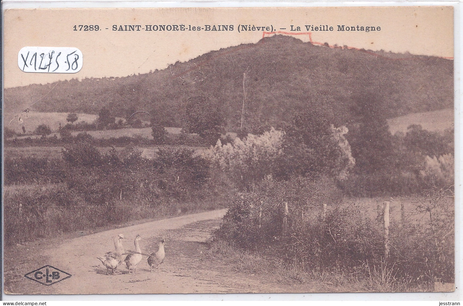 ST-HONORE-LES-BAINS- LA VIEILLE MONTAGNE- LES OIES SUR LA ROUTE - Saint-Honoré-les-Bains