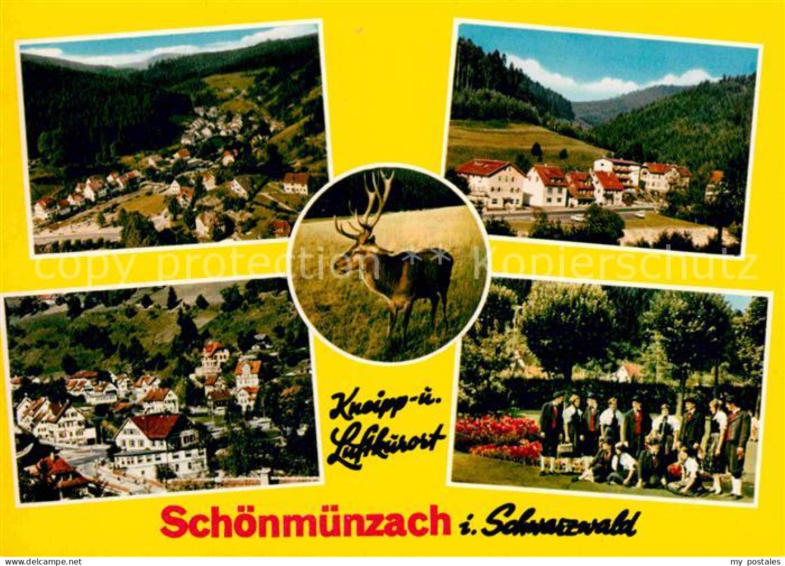 72741074 Schoenmuenzach Panorama Schwarzwald Hirsch Trachtengruppe Baiersbronn - Baiersbronn