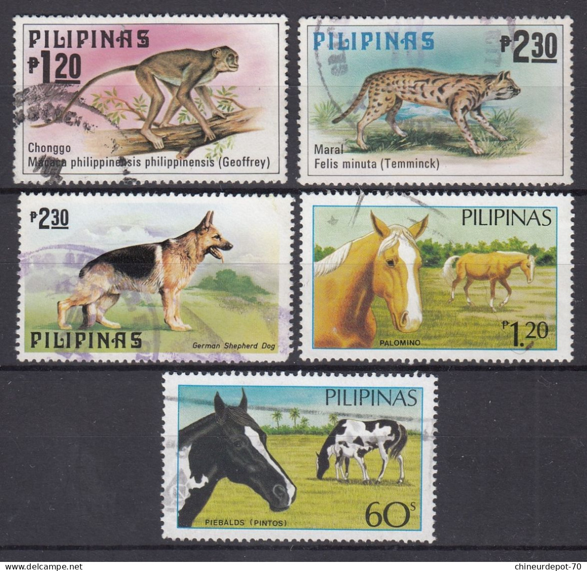 Philippines Pilipinas Animaux - Sonstige & Ohne Zuordnung