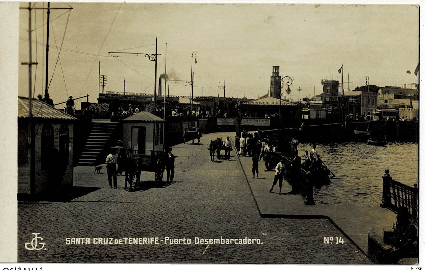 Photo Carte De Santa Cruz De Tenerife - Puerto Desembarcadero  Circulée En 1901 - Tenerife