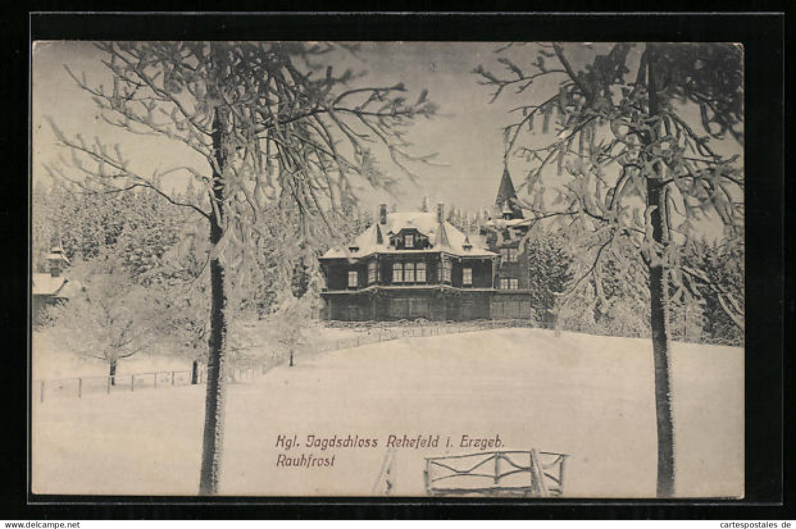 AK Rehefeld /Erzgeb., Königliches Jagdschloss Im Winter, Rauhfrost  - Hunting