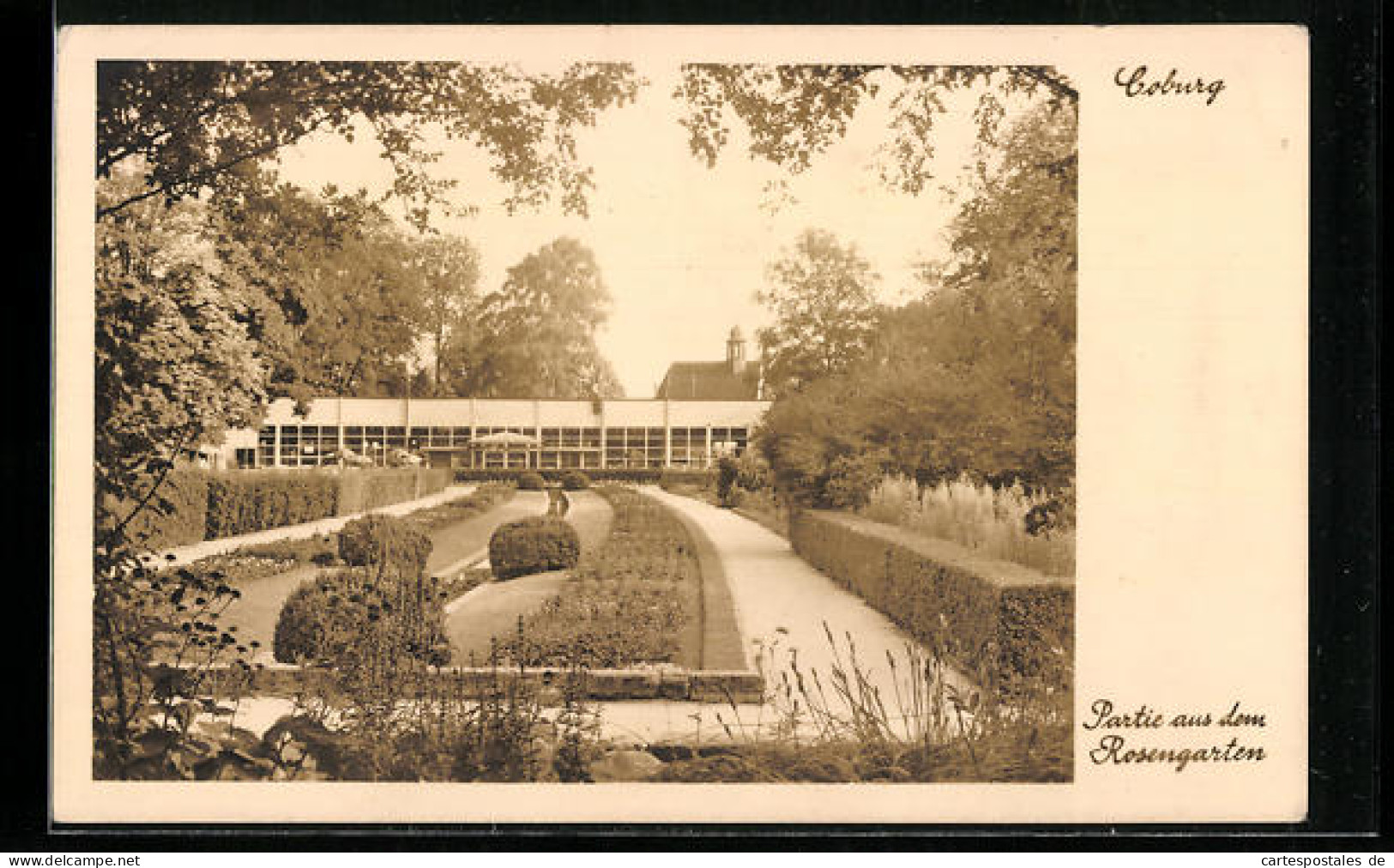 AK Coburg, Rosengarten Und Gartenschau, Partie Aus Dem Rosengarten  - Coburg