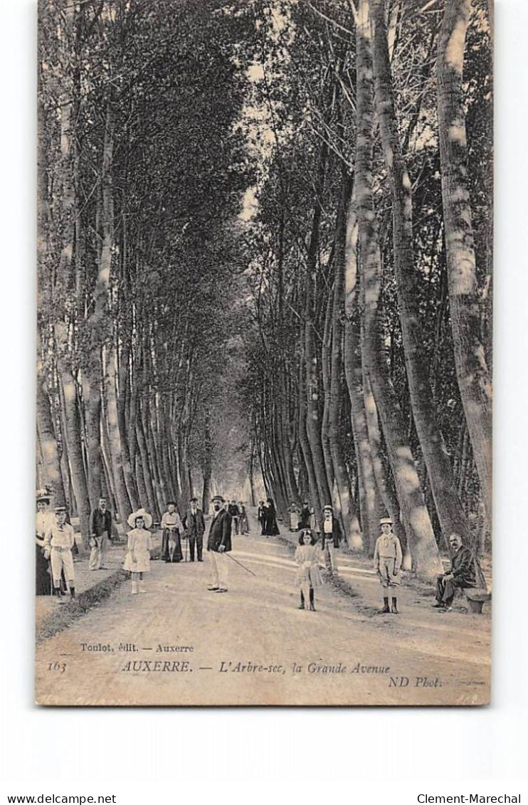 AUXERRE - L'Arbre Sec - La Grande Avenue - Très Bon état - Auxerre